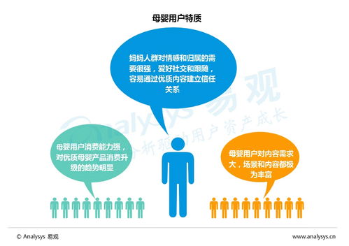 2016年中國互聯(lián)網(wǎng)母嬰市場內(nèi)容營銷與互聯(lián)網(wǎng)銷售專題分析